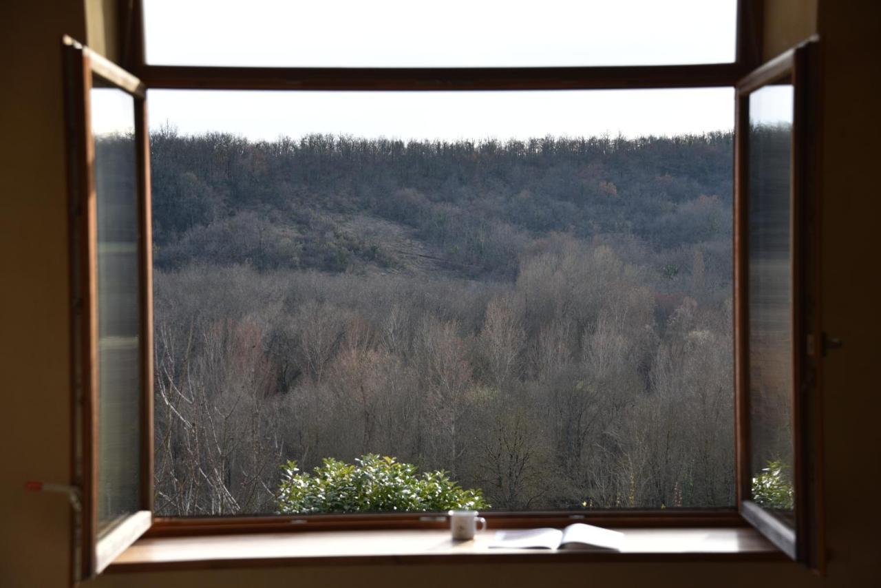 Les Collines Du Quercy Blanc Villa Castelnau-Montratier Eksteriør billede